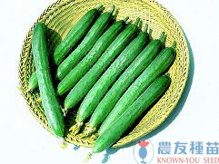 農友種苗股份有限公司 提供專業蔬果種子 花卉種子 農業資材 線上購物及高雄商品服務店等貼心服務