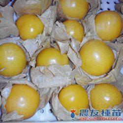 農友種苗股份有限公司 提供專業蔬果種子 花卉種子 農業資材 線上購物及高雄商品服務店等貼心服務