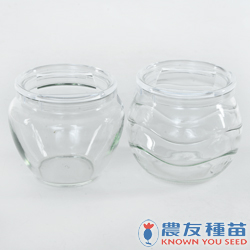 農友種苗股份有限公司 提供專業蔬果種子 花卉種子 農業資材 線上購物及高雄商品服務店等貼心服務